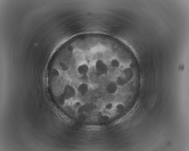 X0000097620925200803281033