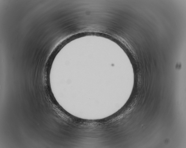 X0000097620926200803281033
