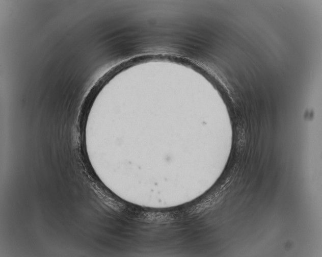 X0000097620927200803281033