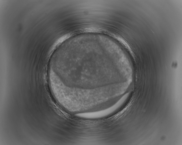 X0000097620930200803281033