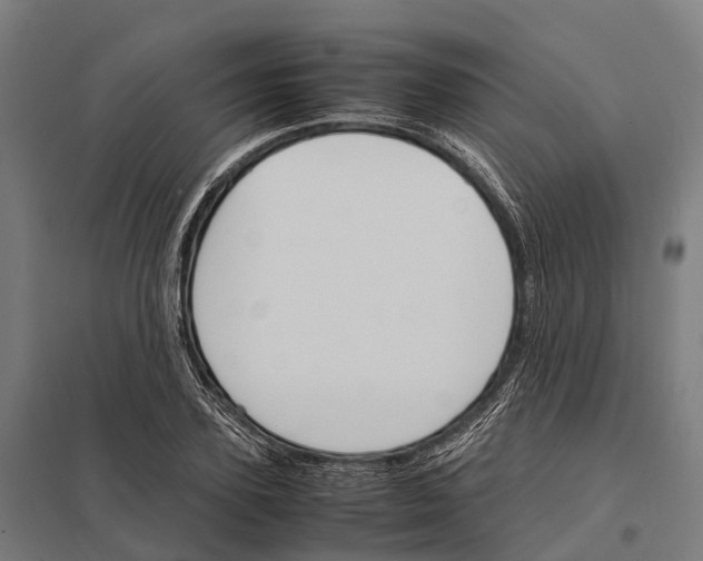 X0000097620931200803281033