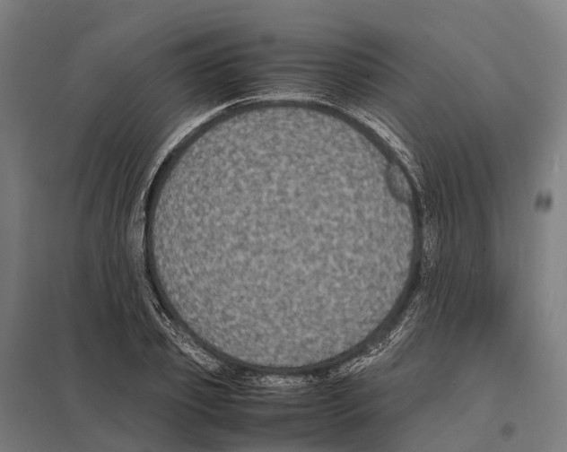 X0000097620933200803281033