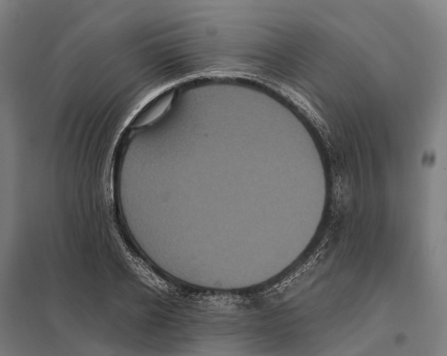 X0000097620934200803281033