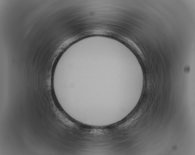 X0000097620938200803281033