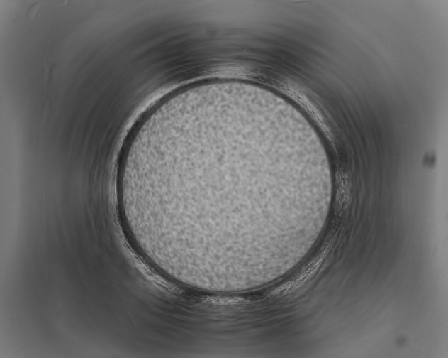 X0000097620939200803281033