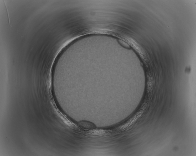X0000097620940200803281033