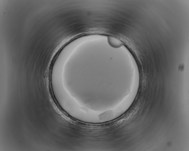 X0000097620941200803281033