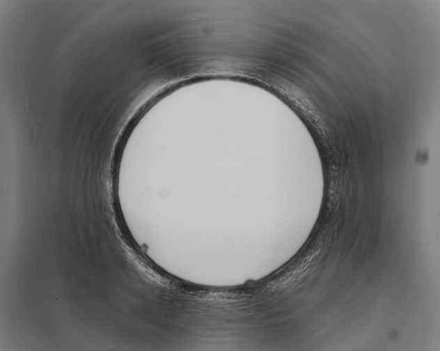 X0000097620942200803281033