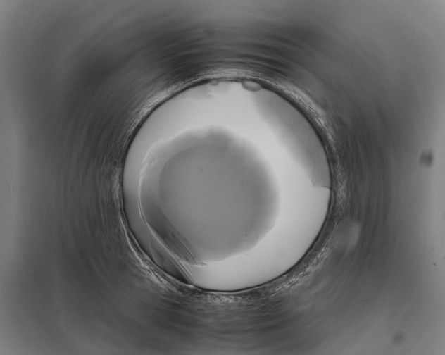 X0000097620945200803281033