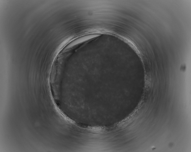 X0000097620946200803281033