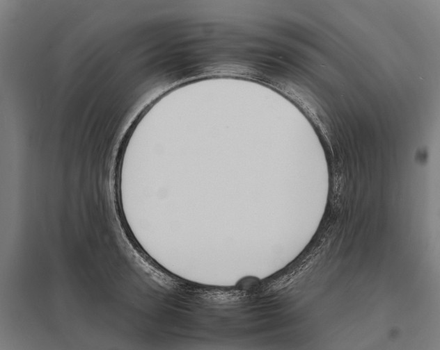X0000097620947200803281033