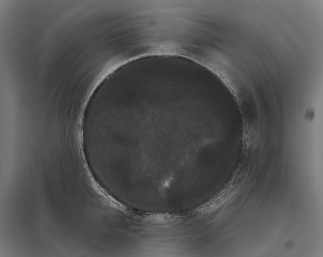 X0000097620950200803281033