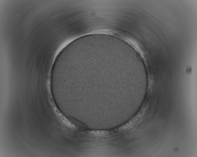 X0000097620952200803281033