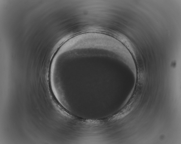 X0000097620954200803281033