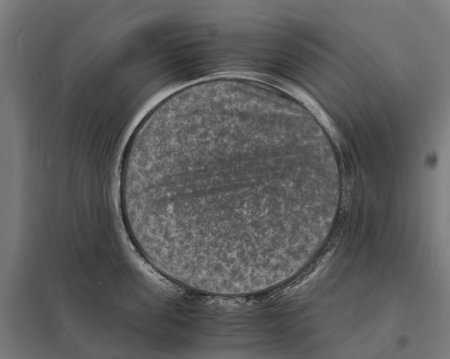 X0000097620955200803281033