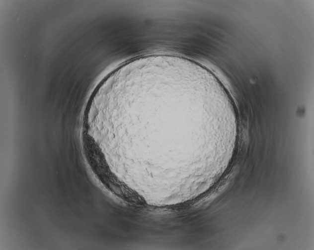 X0000097620957200803281033