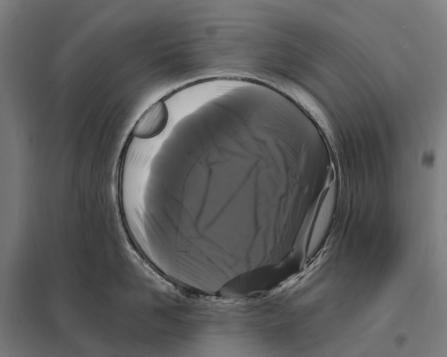 X0000097620958200803281033