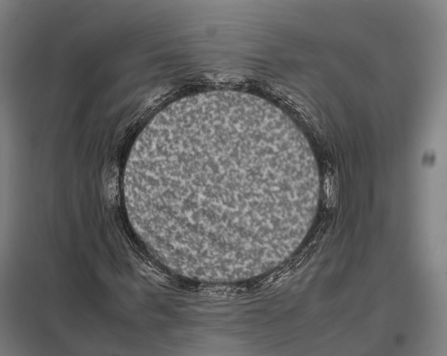 X0000097620963200803281033