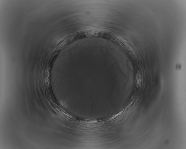 X0000097620964200803281033