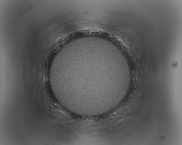 X0000097620965200803281033