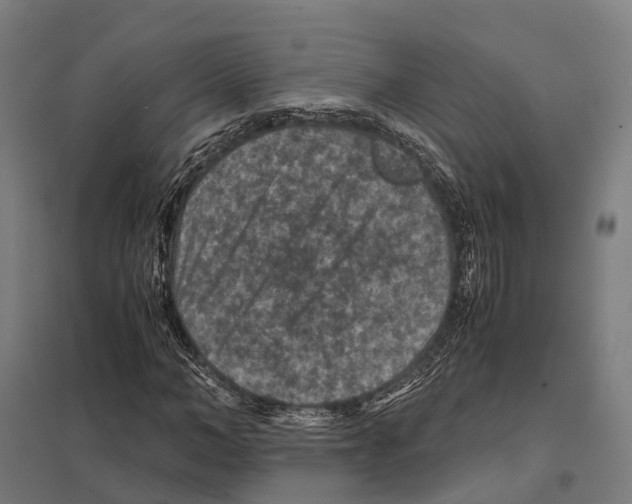 X0000097620966200803281033