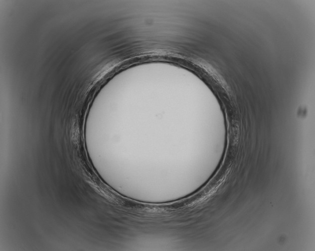 X0000097620969200803281032