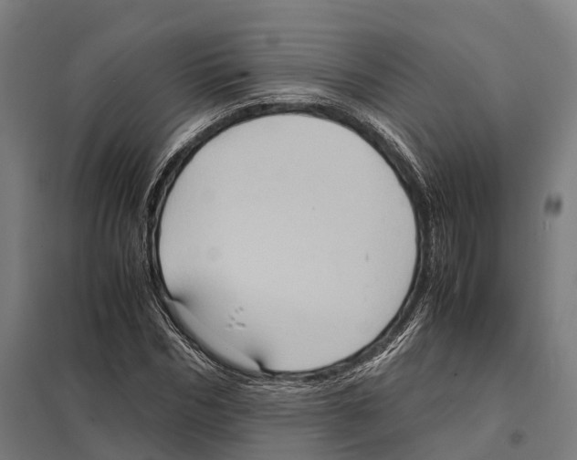 X0000097620970200803281032