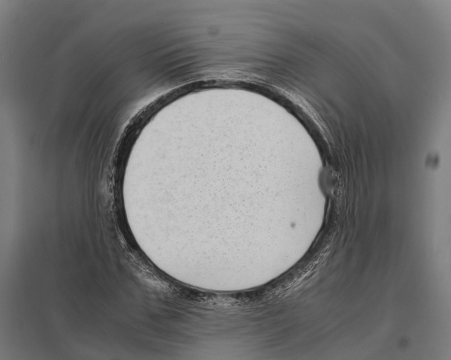 X0000097620971200803281032