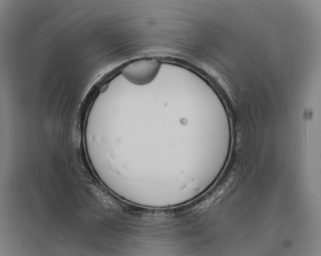 X0000097620973200803281032