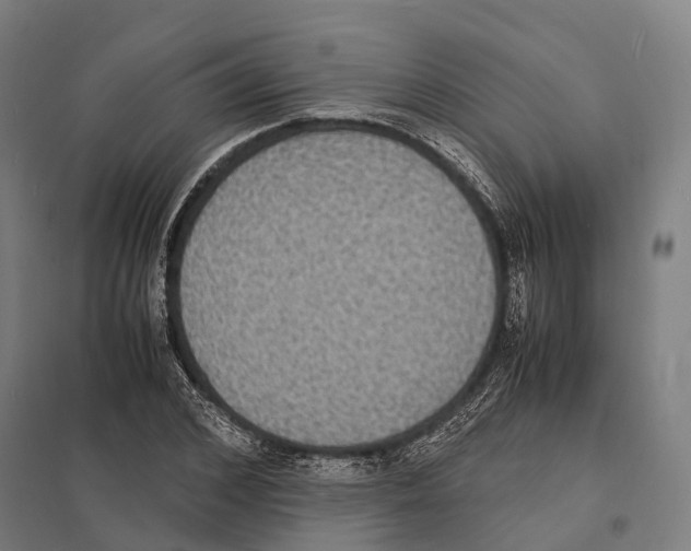 X0000097620976200803281032