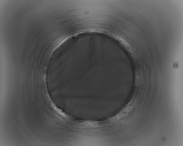 X0000097620977200803281032