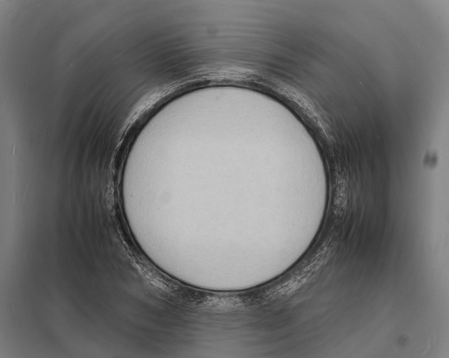 X0000097620978200803281032