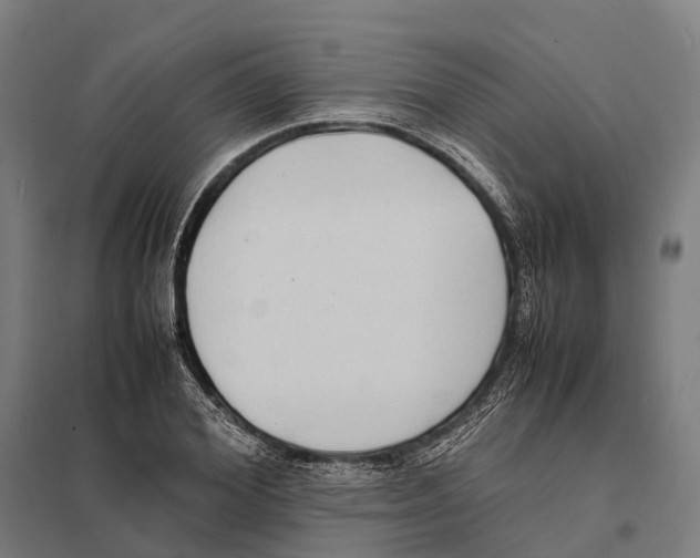 X0000097620980200803281032