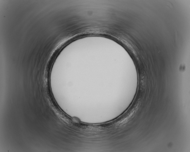 X0000097620981200803281032