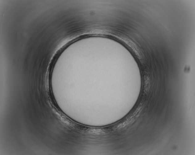 X0000097620982200803281032