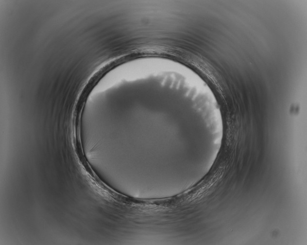 X0000097620984200803281032
