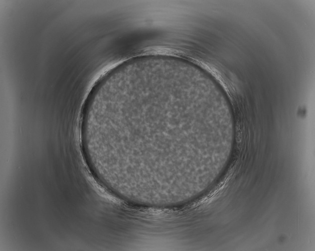 X0000097620987200803281032