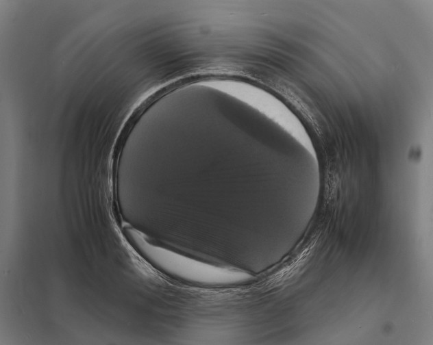 X0000097620988200803281032