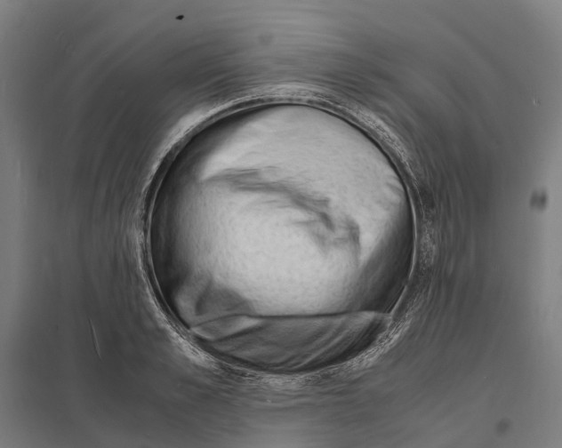 X0000097620989200803281032