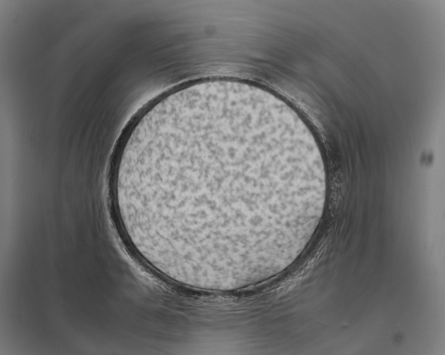 X0000097620991200803281032