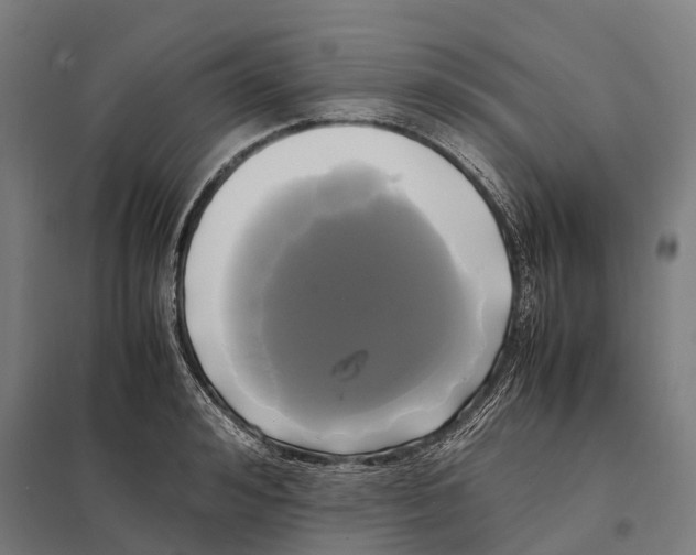 X0000097620992200803281032