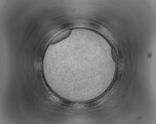 X0000097620993200803281032