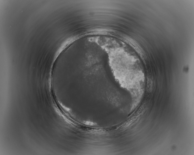 X0000097620994200803281032