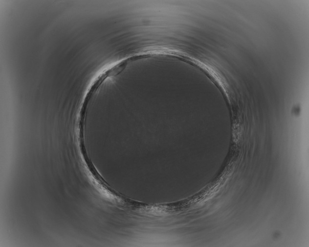 X0000097620995200803281032