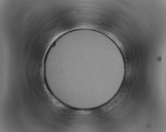 X0000097620996200803281032