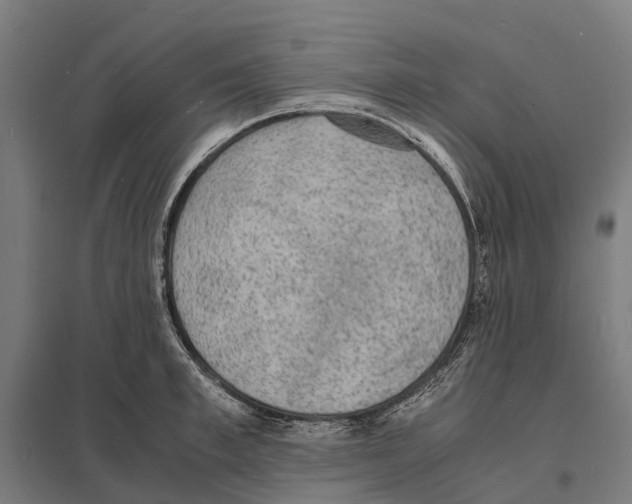 X0000097620997200803281032