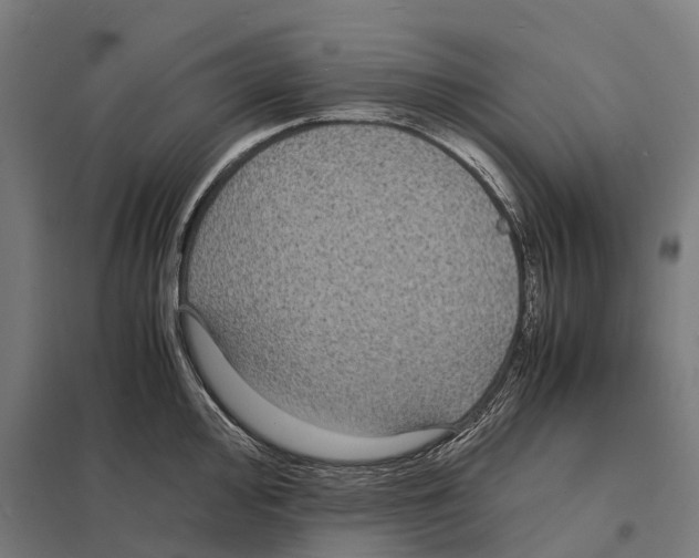X0000097621000200803281032
