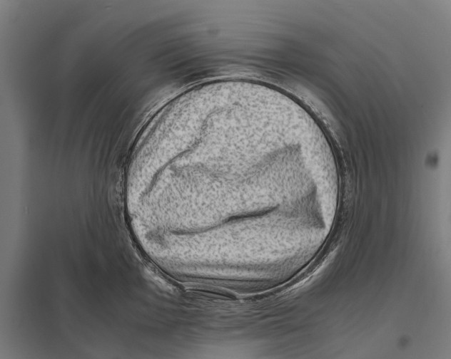 X0000097621001200803281032