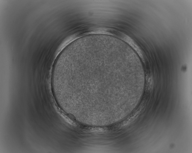 X0000097621002200803281032