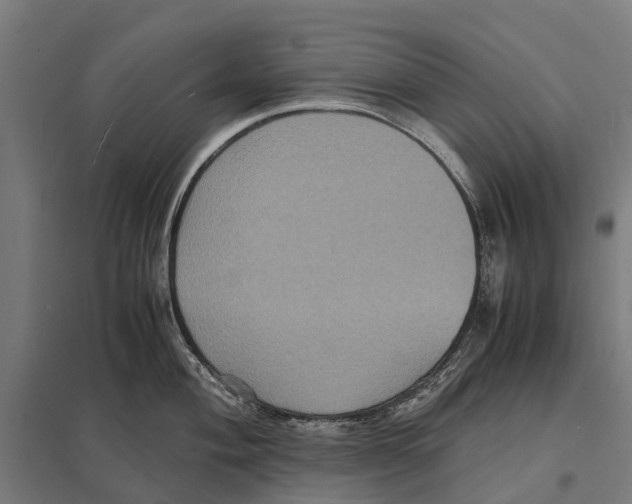 X0000097621004200803281032